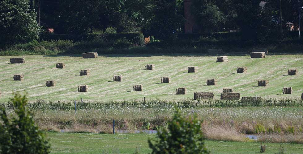 haylage-slide-095.jpg